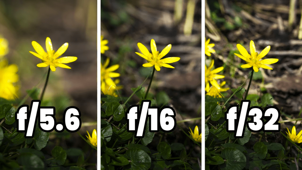 a visual of the difference between f-stop exposures