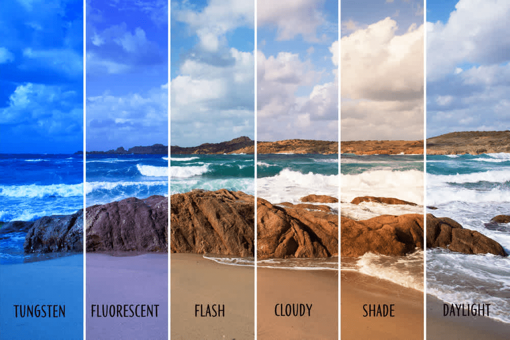 image of a beach with multiple different white balances overlayed to show how white balance affects with Color Theory