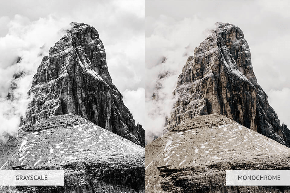 side by side image showing the difference of grayscale to monochrome to illustrate a part of Color Theory