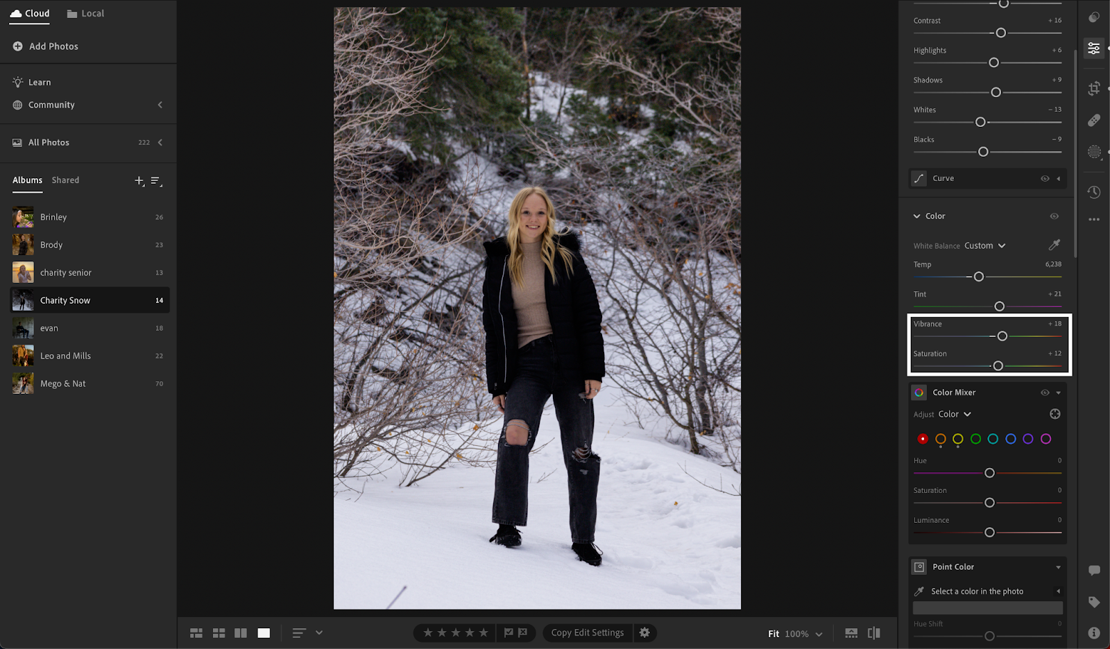 vibrancy and saturation editing raw photos in Lightroom 