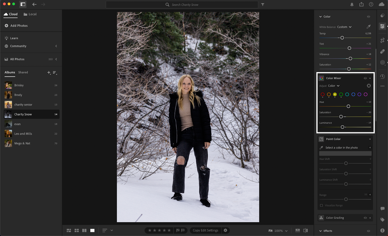 color mixer in lightroom